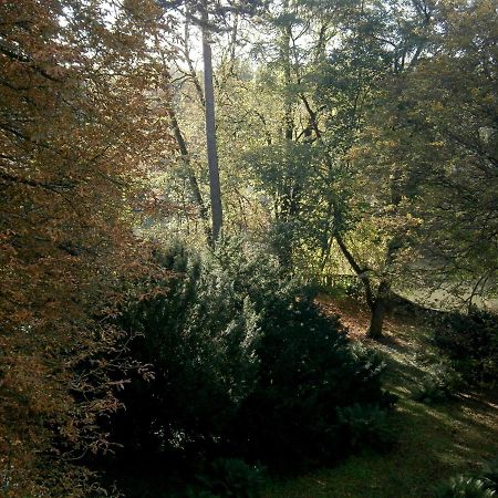 La Reverie Montbéliard Buitenkant foto